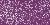 Voolimismass Cernit 118 violet