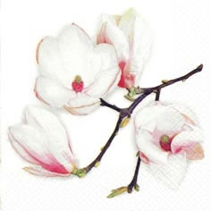    367803 33 x 33 cm White Magnolia white