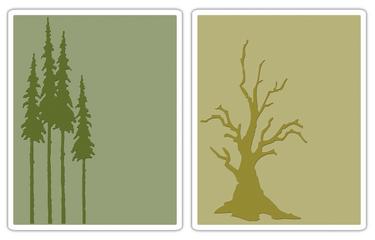 Папки для тиснения Embossing folders TH br.tree&tall pin, Sizzix 656939