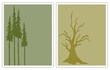    Embossing folders TH br.tree&tall pin, Sizzix 656939