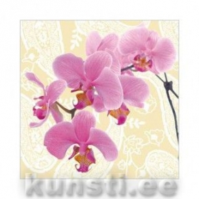    LOVELY ORCHID cream