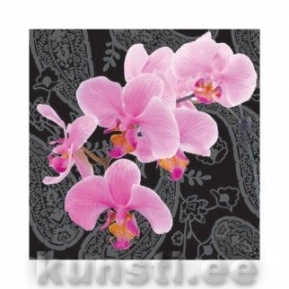   LOVELY ORCHID black