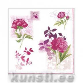    PINK GARDEN FLOWERS 