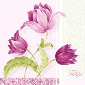    Romantic Tulips Rosa SDL002904