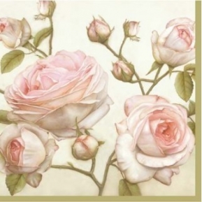    Beauty Roses SDL085000