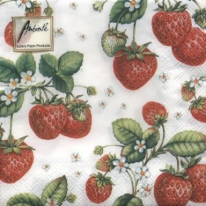    13306770 33 x 33 cm Strawberry Plant