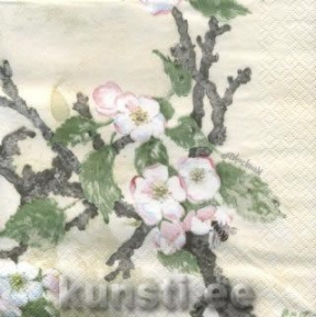    211204 33 x 33 cm Painted Apple blossom