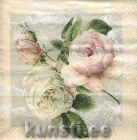    211237 33 x 33 cm Cottage Rose