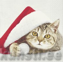    60638 33 x 33 cm Santa cat