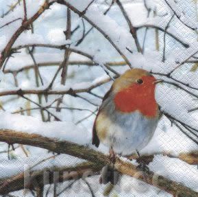    611123 33 x 33 cm Robin in a winter Tree