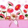    340312 33 x 33 cm Daisy & Vichy pink