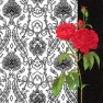    378745 33 x 33 cm Senteur des Roses black