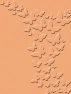 Пластина для тиснения Craft Concepts CR900030 butterfly kisses
