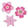  Sizzlits Die Set flower layers set 3, Sizzix 656539