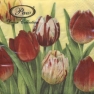    Tulips World Yellow SDL003101