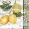 Салфетка для декупажа Citrus Limon SDL080000