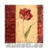    CHIC TULIP dark red