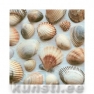 Салфетка для декупажа SEASHELLS