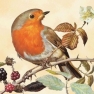 Салфетка для декупажа WILD BIRD cream 190211