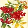Салфетка для декупажа Rowanberry SDL050000
