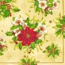    Fabulous Poinsettia cream SDL060011