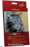 Набор цветных карандашей ART Black Cat 18цв 22009