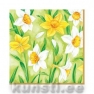    NARCISSUS green