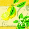    13305096 33 x 33 cm CITRUS FRUITS YELLOW