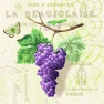    13305915 33 x 33 cm PURPLE GRAPES CREAM