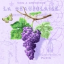    13305916 33 x 33 cm PURPLE GRAPES LILA