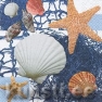    210945 33 x 33 cm Starfish and Shells