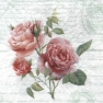    L-444950 33 x 33 cm LOVE LETTER rose 