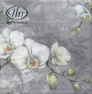    L-494645 33 x 33 cm WHITE ORCHIDS grey 