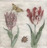 Салфетка для декупажа L-501360 33 x 33 cm BOTANICAL TULIPS cream